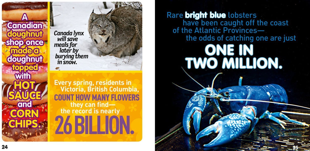 Weird But True Canada, 300 Outrageous Facts About the True North