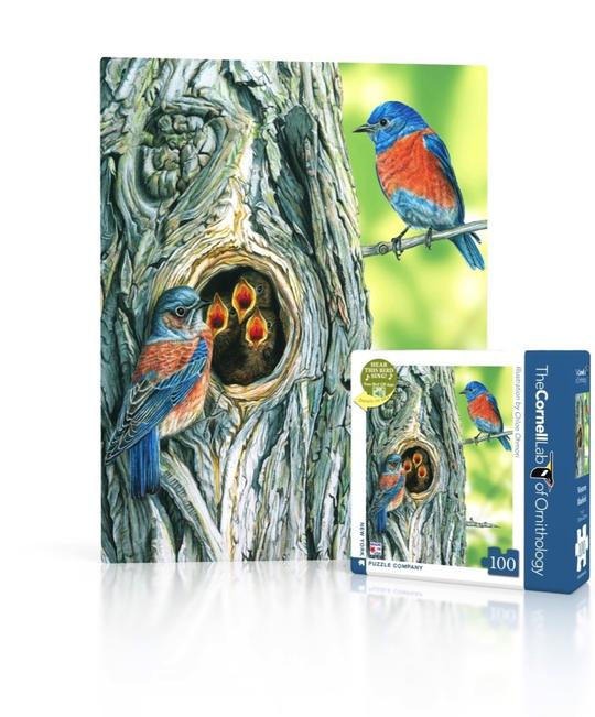 Western Bluebird 100pc Puzzle