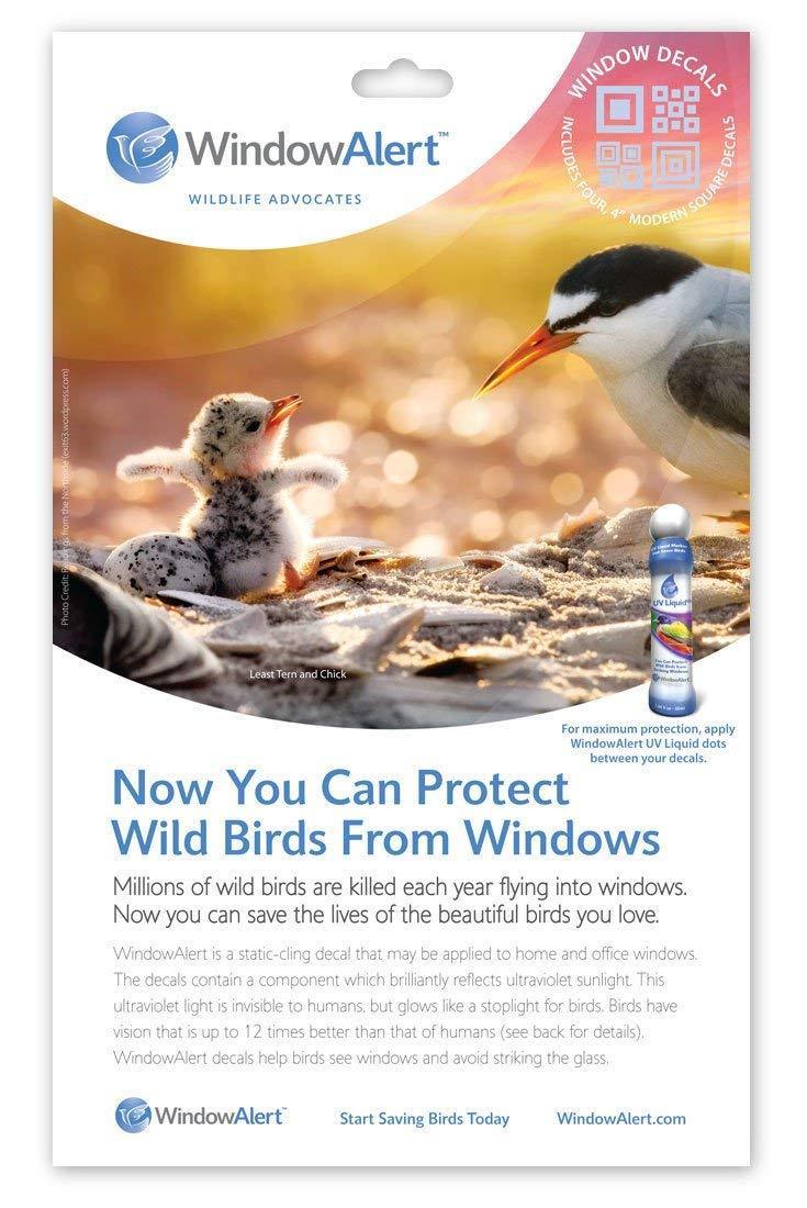 Window Alert Modern Square Decals