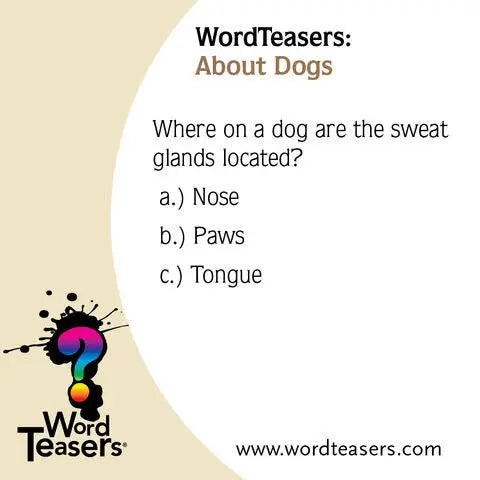 Word Teasers About Dogs