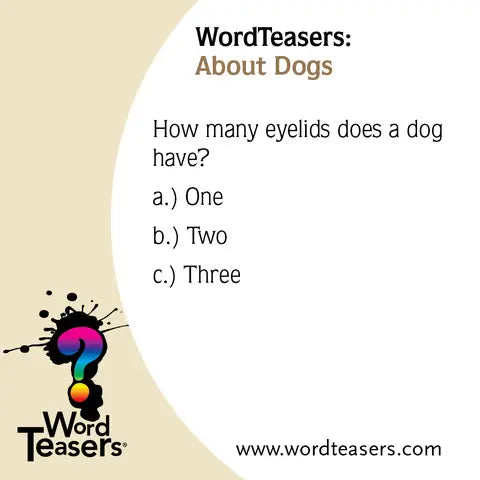 Word Teasers About Dogs