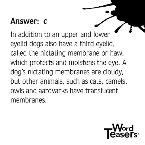 Word Teasers About Dogs