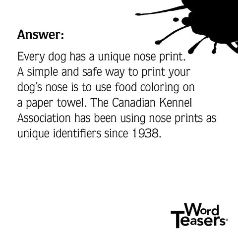 Word Teasers About Dogs