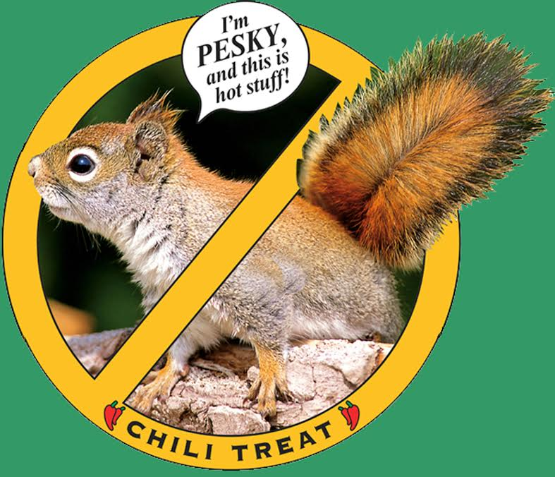 Squirrel Proof Wild Bird Seed, 8lb