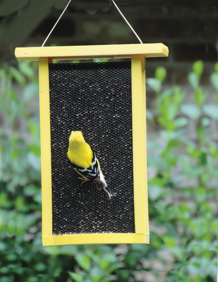 Recycled Tall Finch Feeder Yellow