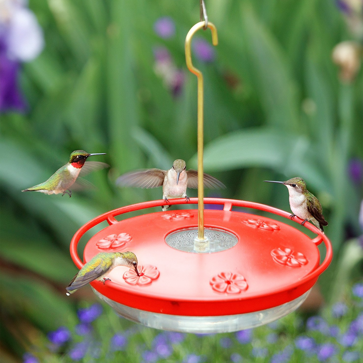 Buy Aspects Hummzinger HighView Excel Hummingbird Feeder 16 oz