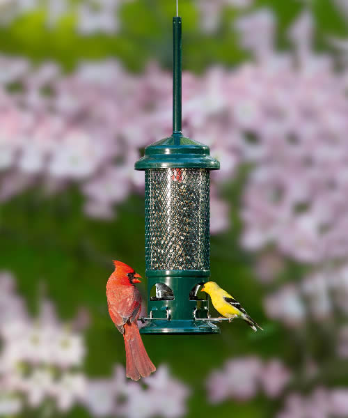 Brome Squirrel Buster Standard