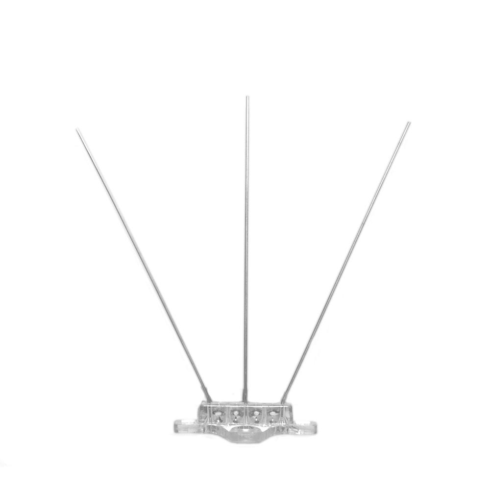 Stainless Steel Bird Spikes, 50 ft.