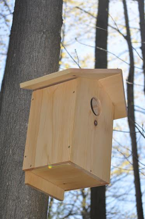 Handmade Owl Birdhouse