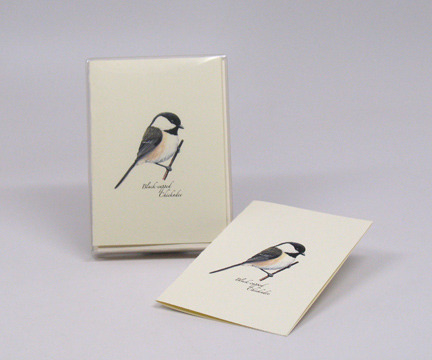 Black-capped Chickadee Notecards