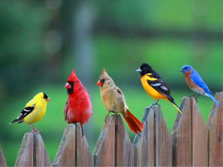 Do Feeders Save Lives?