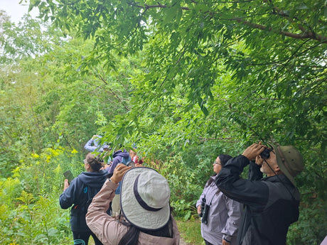 Your First Birding Walk: Come Along, We Promise It’s Not a Test!