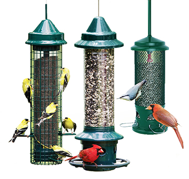🐿️🐦 Is There Really Such a Thing as a Squirrel-Proof Feeder?