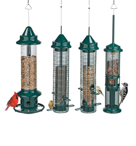 How to Successfully Use a Squirrel-Proof Feeder and Keep Squirrels Away from Your Bird Feeders
