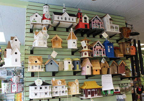 It’s Bird House Time! Preparing Your Backyard for Spring Nesting Season