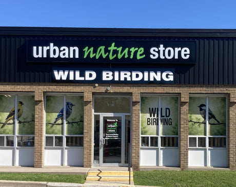 Another Store, Another Dream Realized