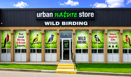 Sixty Years, Five Decades of Birding and a Whole Lot of Seed