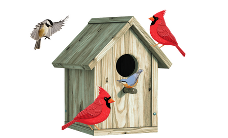 How to Select and Care for a Birdhouse in Southern Canada