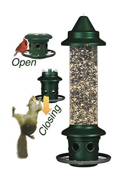 Yes, There Really Are Squirrel-Proof Feeders