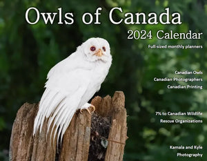 2024 Owls of Canada Wall Calendar Planner