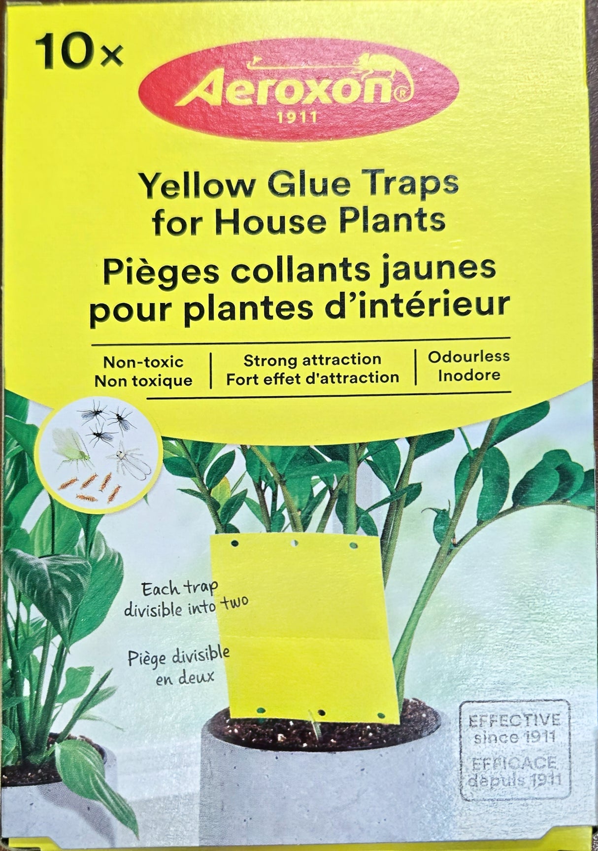 Yellow Glue Traps for House Plants