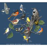 Eastern Birds 100% Cotton Bird T-Shirt - Small