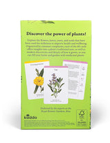 A Cabinet Full of Medicinal Plants