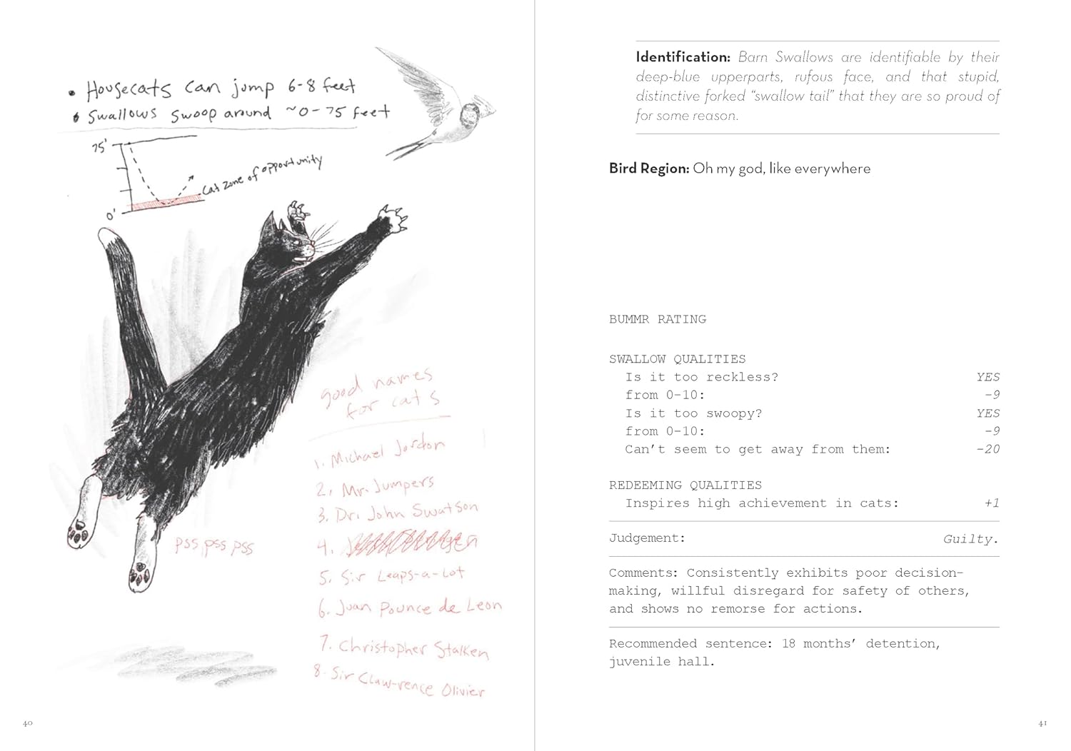 A Dumb Birds Field Guide to the Worst Birds Ever – Urban Nature Store