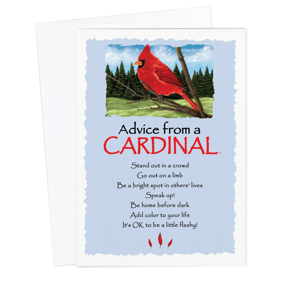Advice from a Cardinal Blank Card