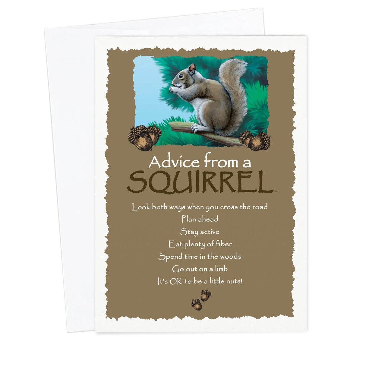 Advice from a Squirrel Blank Card