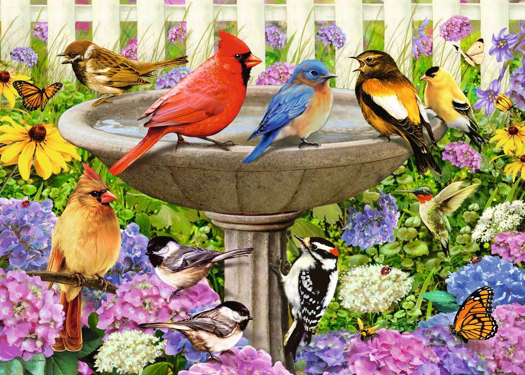 At the Birdbath 500pc Puzzle – Urban Nature Store
