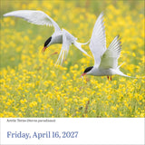 Audubon Birds Page-A-Day Calendar 2027