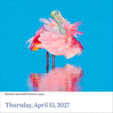 Audubon Birds Page-A-Day Calendar 2027