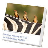 Audubon Birds Page-A-Day Calendar 2027
