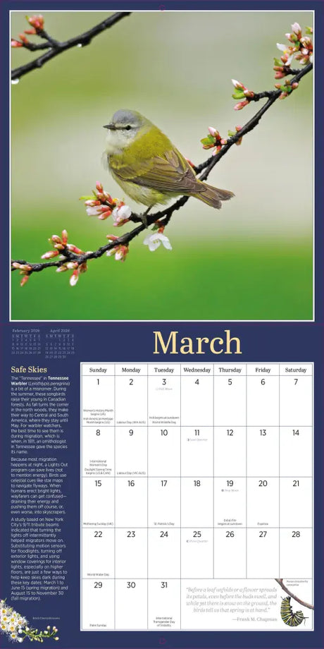 Audubon Birds in the Garden Wall Calendar 2026