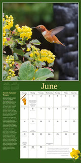 Audubon Birds in the Garden Wall Calendar 2026