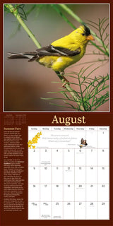 Audubon Birds in the Garden Wall Calendar 2026
