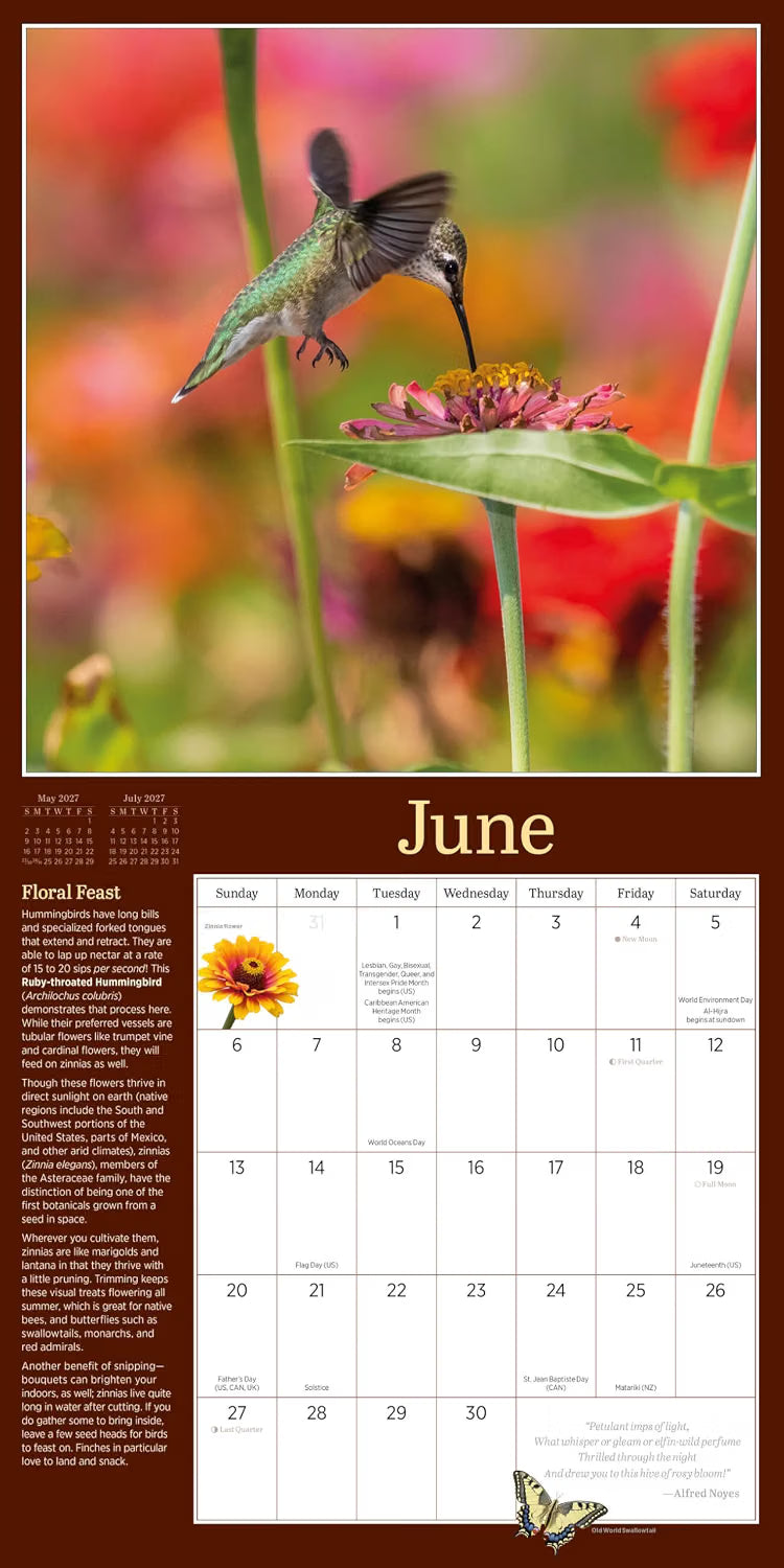 Audubon Birds in the Garden Wall Calendar 2027