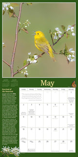 Audubon Birds in the Garden Wall Calendar 2027
