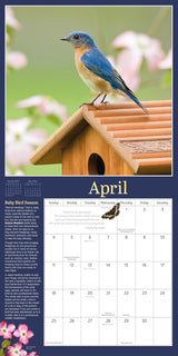 Audubon Birds in the Garden Wall Calendar 2027