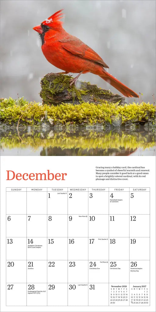 Audubon Cardinals Mini Wall Calendar 2026