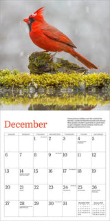 Audubon Cardinals Mini Wall Calendar 2026