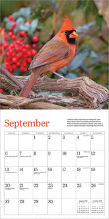 Audubon Cardinals Mini Wall Calendar 2026