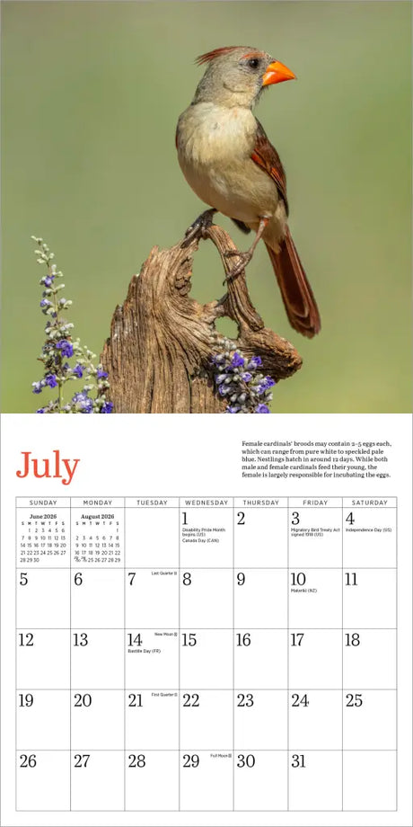 Audubon Cardinals Mini Wall Calendar 2026