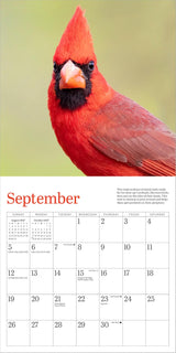 Audubon Cardinals Mini Wall Calendar 2027