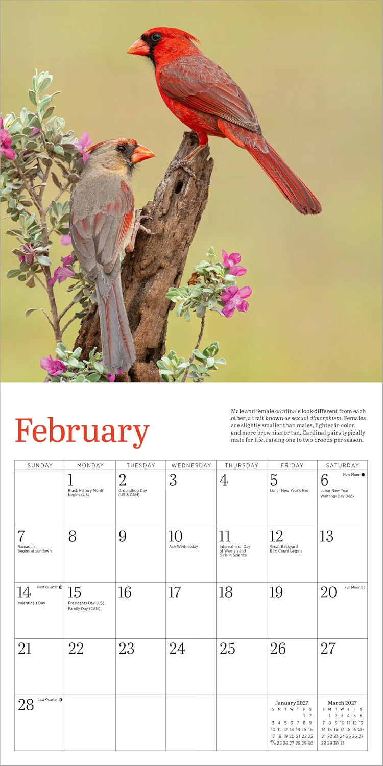 Audubon Cardinals Mini Wall Calendar 2027