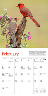 Audubon Cardinals Mini Wall Calendar 2027
