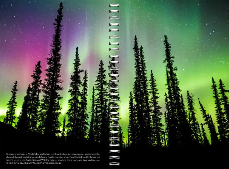 Audubon Engagement Calendar 2027