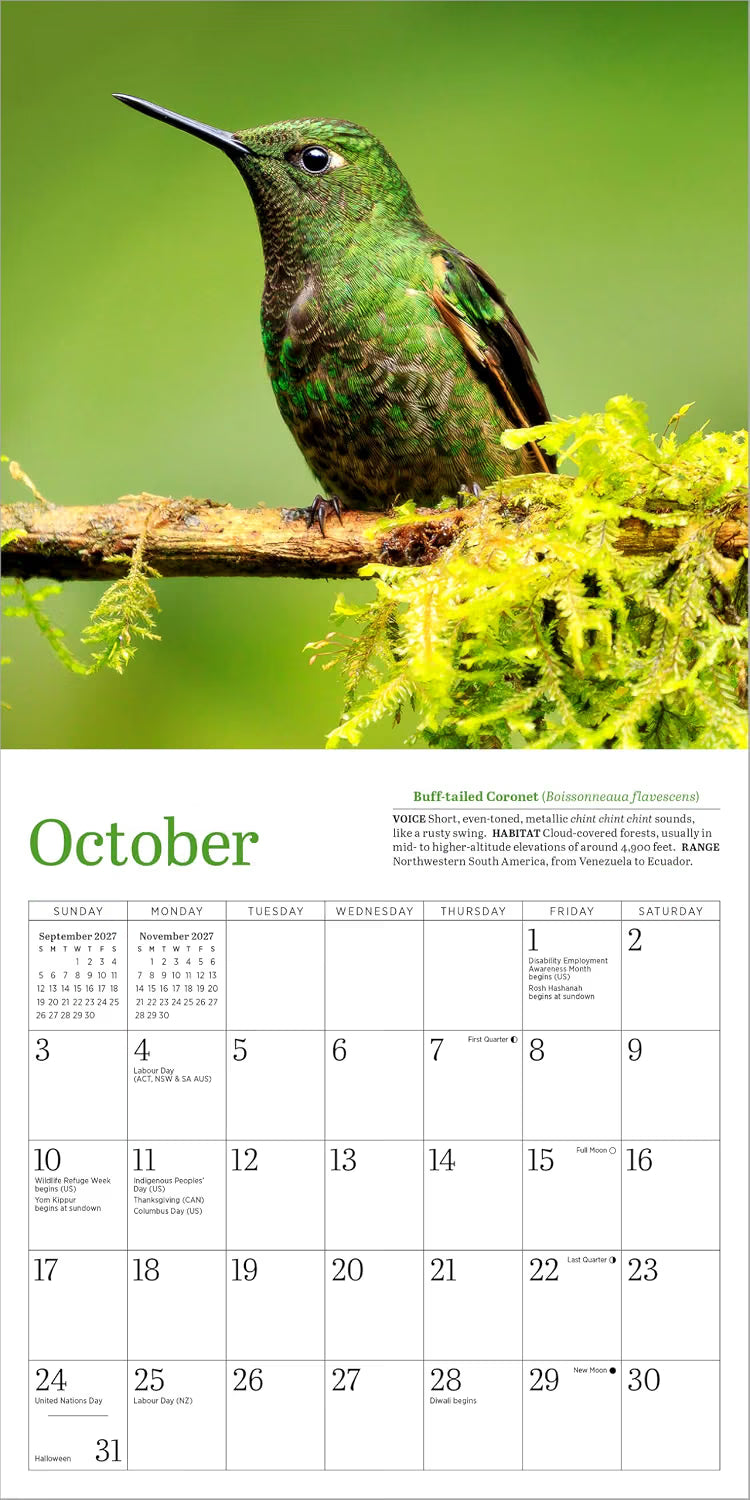 Audubon Hummingbirds Mini Wall Calendar 2027