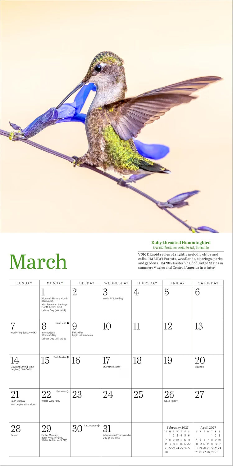 Audubon Hummingbirds Mini Wall Calendar 2027